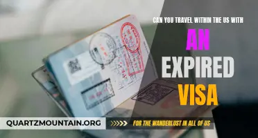 Traveling Within the US with an Expired Visa: What You Need to Know