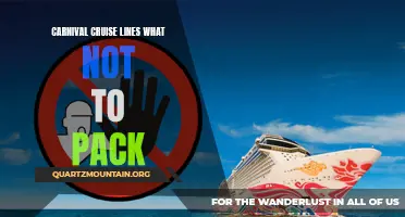 5 Items You Should Leave Behind When Packing for a Carnival Cruise