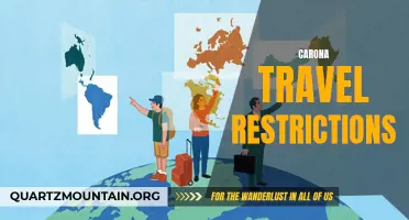 Navigating the New Normal: Understanding and Adapting to Current Travel Restrictions Amidst the COVID-19 Pandemic