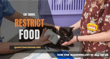 The Importance of Travel Restrictions for Cats and Their Food