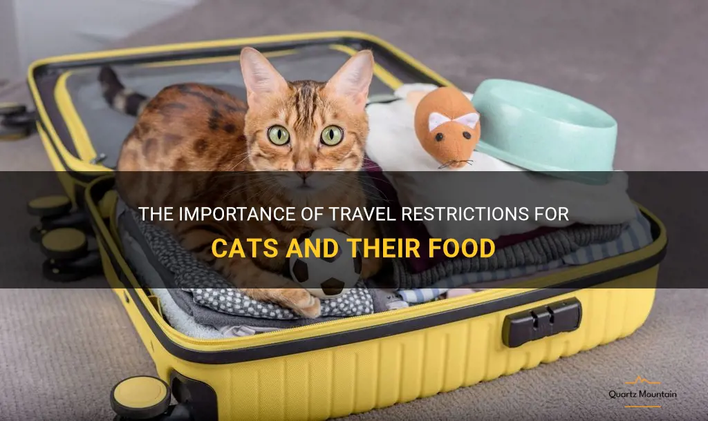 cat travel restrict food