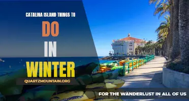 Exploring the Charm of Catalina Island: Fun Winter Activities to Enjoy on the Island