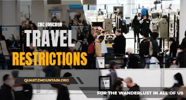 Exploring the CDC's Updated Travel Restrictions Amid the Omicron Variant Surge