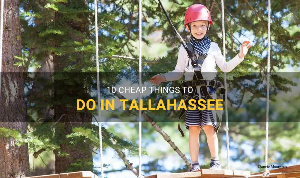cheap things to do in tallahassee