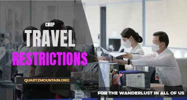 Breaking Down the Benefits of Lifting Travel Restrictions: A Look into the Economic and Social Impacts of Easing Chop Travel Measures