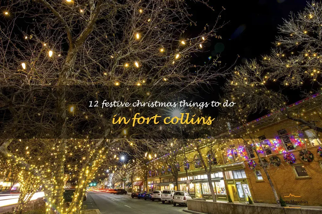 christmas things to do in fort collins