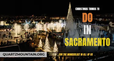 12 Fun Christmas Activities in Sacramento for the Whole Family