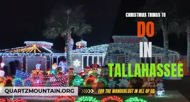 12 Festive Activities for Christmas in Tallahassee