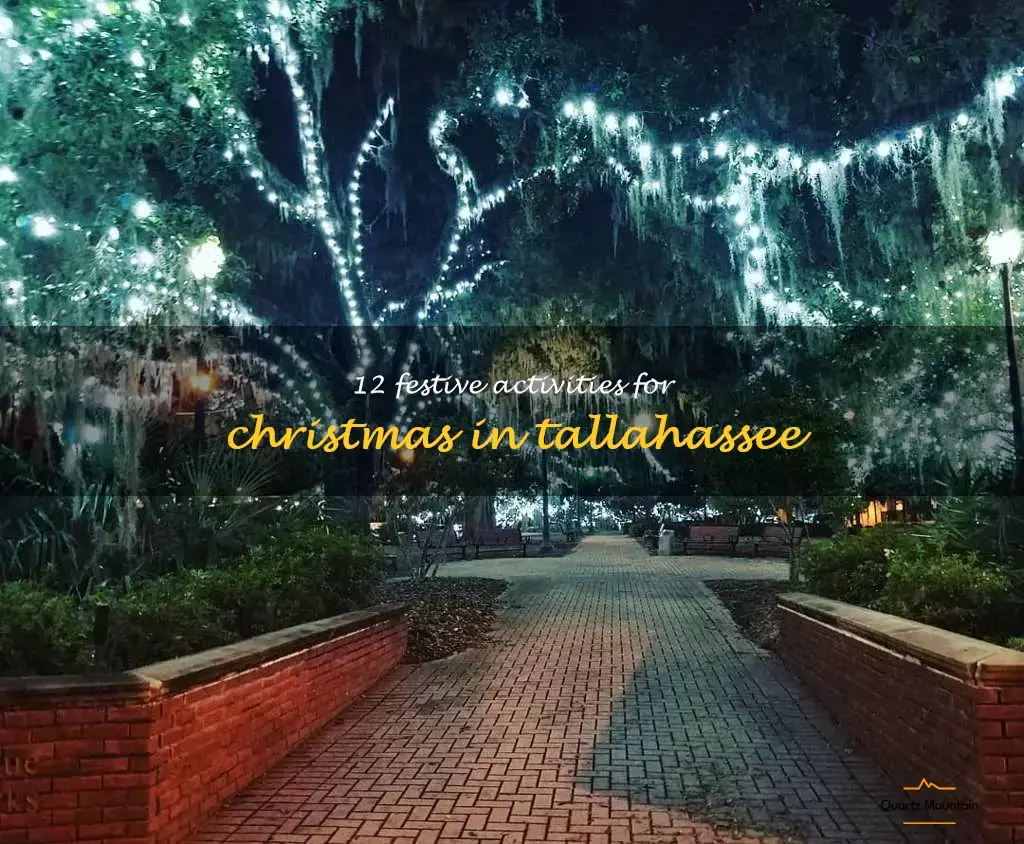 christmas things to do in tallahassee