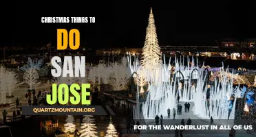 12 Festive Christmas Activities in San Jose