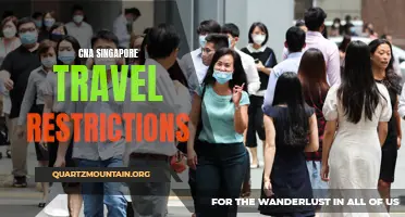 Understanding the Current Travel Restrictions for CNAs in Singapore
