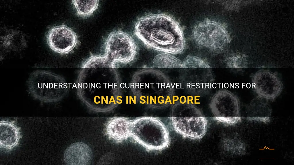 cna singapore travel restrictions