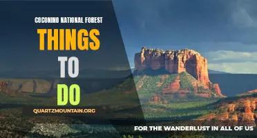 13 Exciting Activities to Enjoy at Coconino National Forest