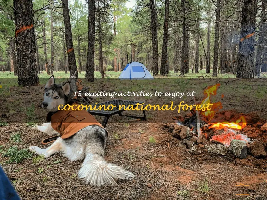 coconino national forest things to do
