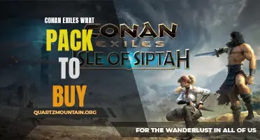 Exploring Your Options: Which Pack to Buy in Conan Exiles