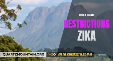 The Impact of Congo's Travel Restrictions on the Spread of Zika