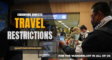 Exploring the Pros and Cons of Domestic Travel Restrictions