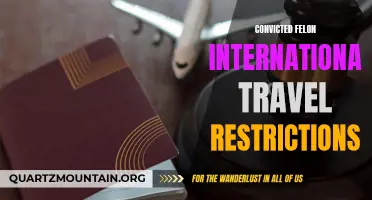 The Restrictions and Challenges of International Travel for Convicted Felons