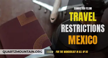 Understanding the Travel Restrictions for Convicted Felons in Mexico
