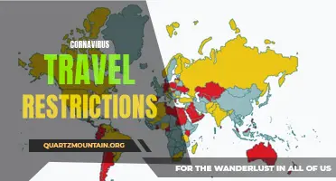 Unlocking the World: How COVID-19 Travel Restrictions Impact Global Mobility