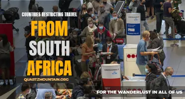 Countries Implement Travel Restrictions on South Africa Due to New Variant