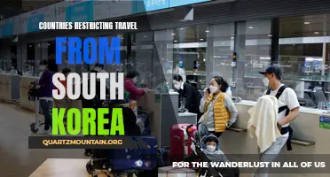 The Impact of Countries Restricting Travel from South Korea and Its Implications