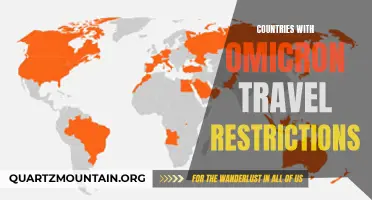 Navigating Omicron: A Guide to Countries with Travel Restrictions amid the New Variant