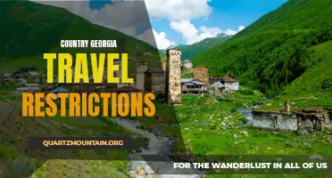 Exploring the Travel Restrictions in Georgia: What You Need to Know