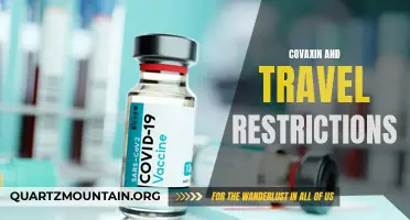 COVID-19 Vaccines: How Covaxin Could Impact Travel Restrictions