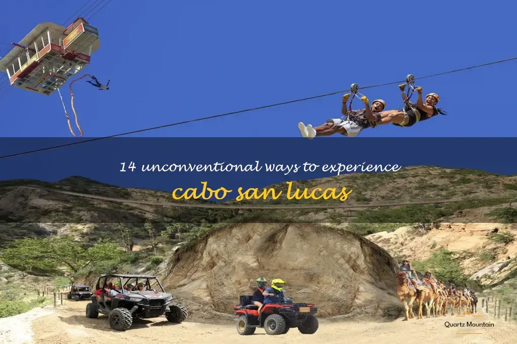 crazy things to do in cabo san lucas
