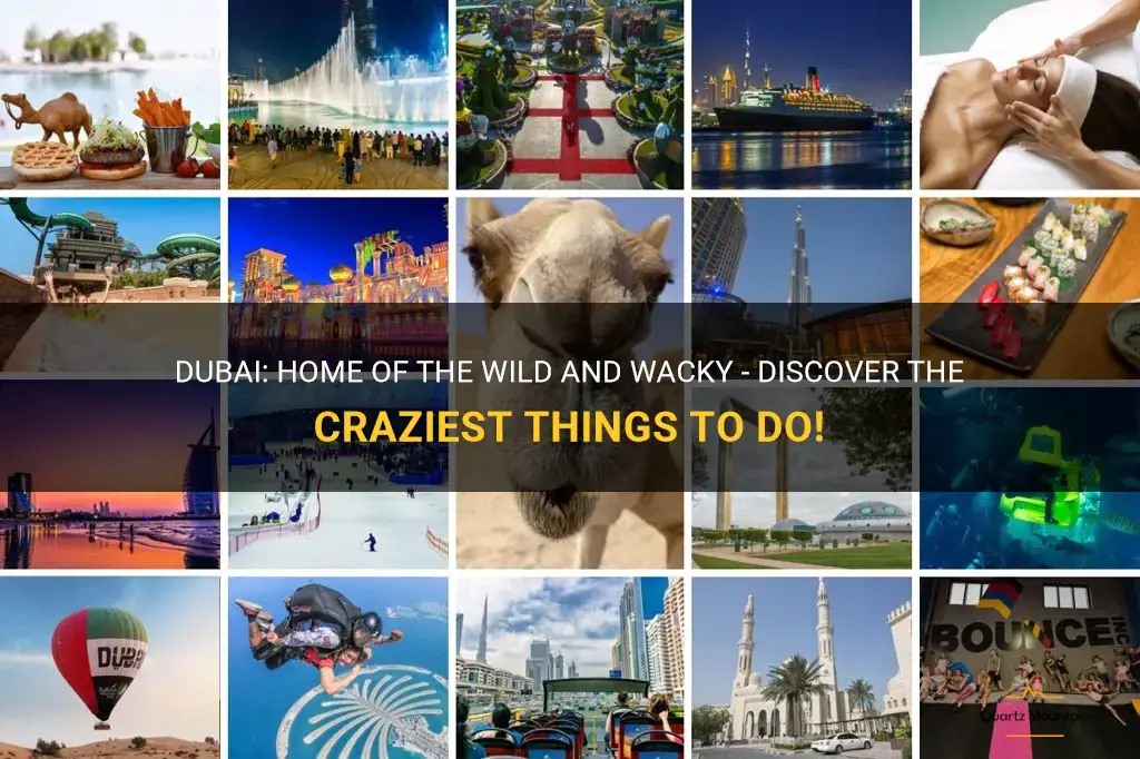 crazy things to do in dubai