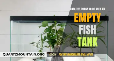 10 Creative Ideas for Repurposing an Empty Fish Tank