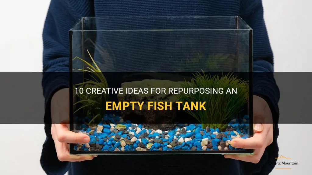 creative things to do with an empty fish tank
