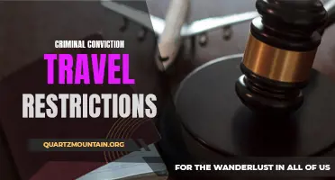 Understanding Travel Restrictions for Individuals with Criminal Convictions