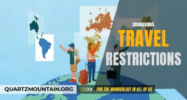 The Impact of COVID-19 Travel Restrictions on Global Tourism