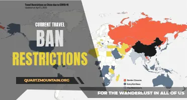 The Impact of Travel Ban Restrictions on International Tourism and Immigration