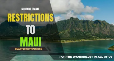 Navigating the Current Travel Restrictions to Maui