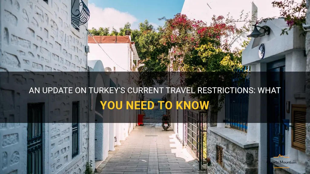 current travel restrictions to turkey