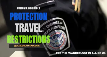 Exploring the Impact of Customs and Border Protection Travel Restrictions
