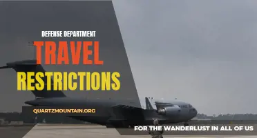 The Impact of Defense Department Travel Restrictions on Military Operations
