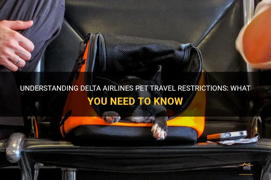 delta airlines pet travel restrictions