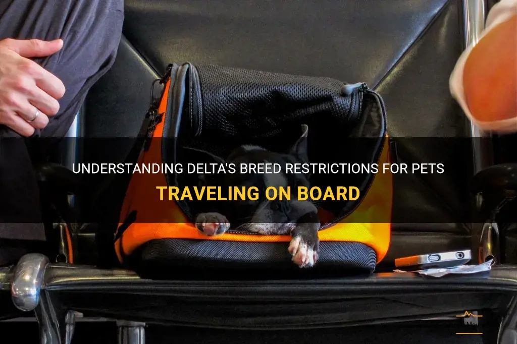 delta breed restrictions for pets traveling on board