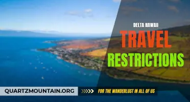 Delta Hawaii Travel Restrictions: What You Need to Know
