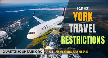Understanding Delta New York Travel Restrictions: What You Need to Know