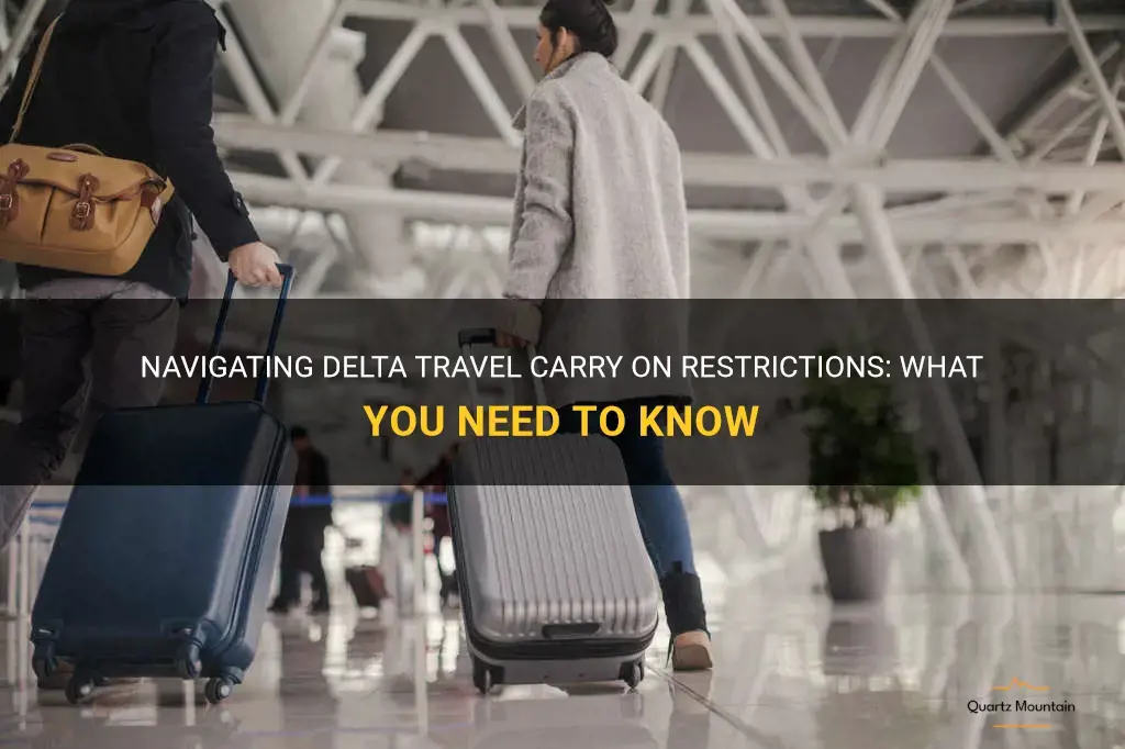 delta travel carry on restrictions