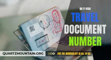 Understanding the Importance of the F1 Visa Travel Document Number