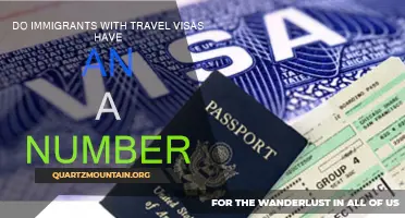 Do Immigrants with Travel Visas Receive an A Number? Explained