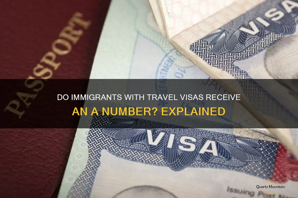 do immigrants with travel visas have an a number