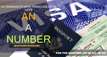 Exploring the Presence of A-Numbers Among Immigrants with Traveling Visas