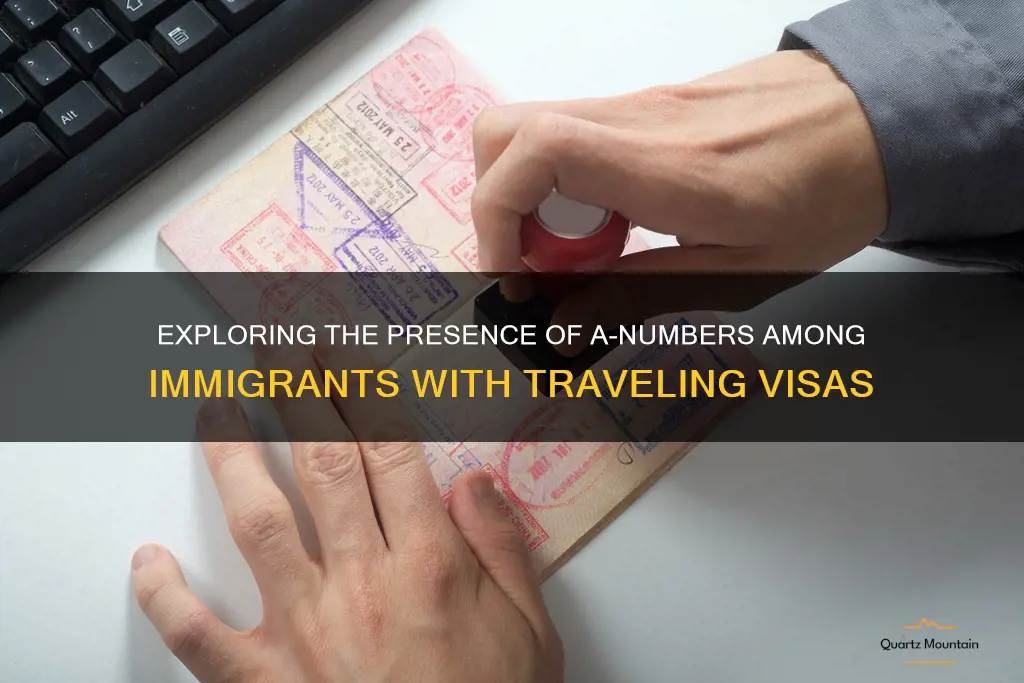 do immigrants with traveling visas have an a number